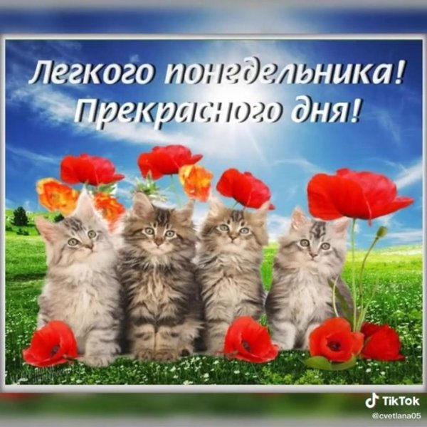 пожелание хорошего понедельника
