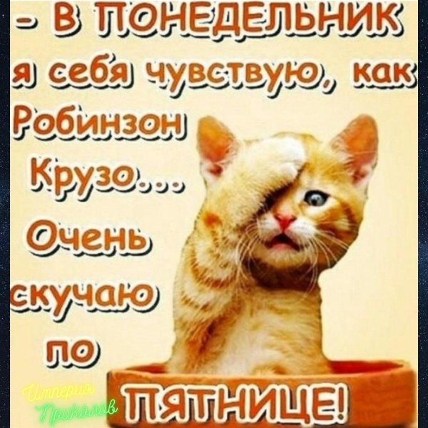 открытки с добрым понедельником