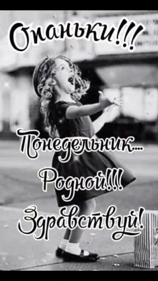 цитаты веселые