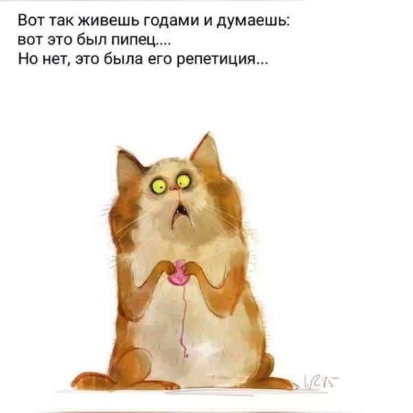 рисованные коты