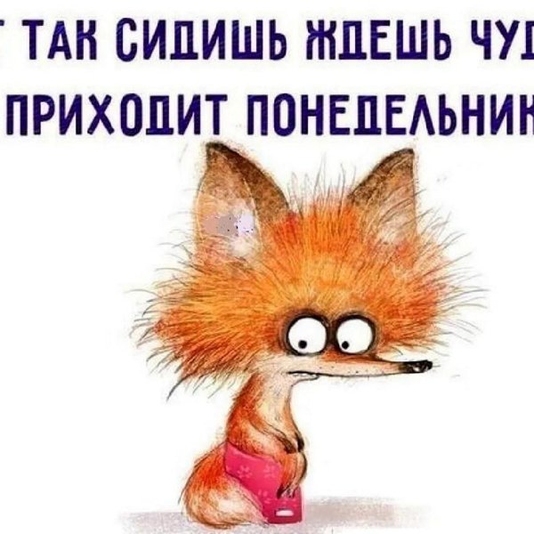понедельник высказывания позитивные