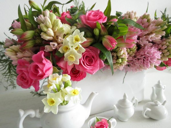 фрезии цветы