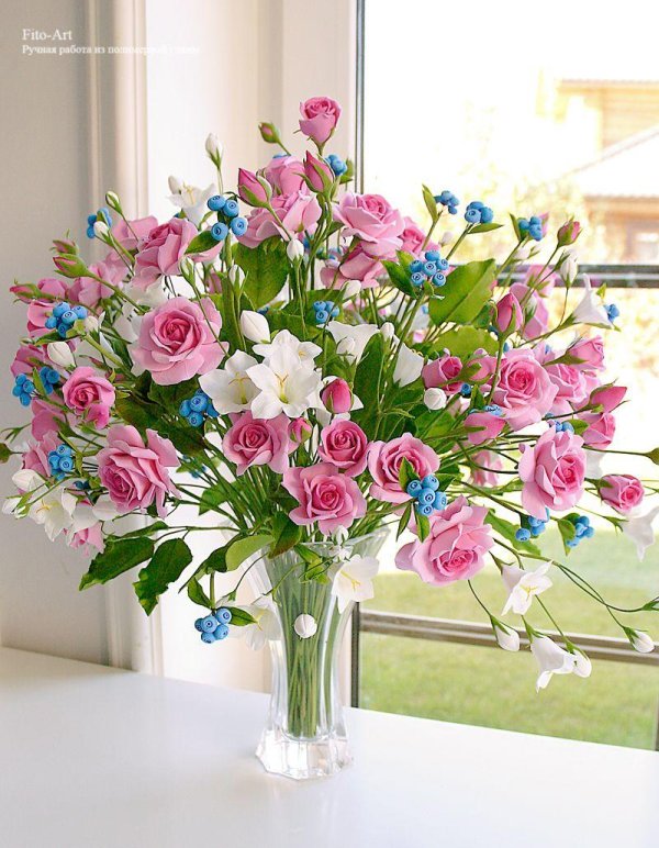 звержанская екатерина