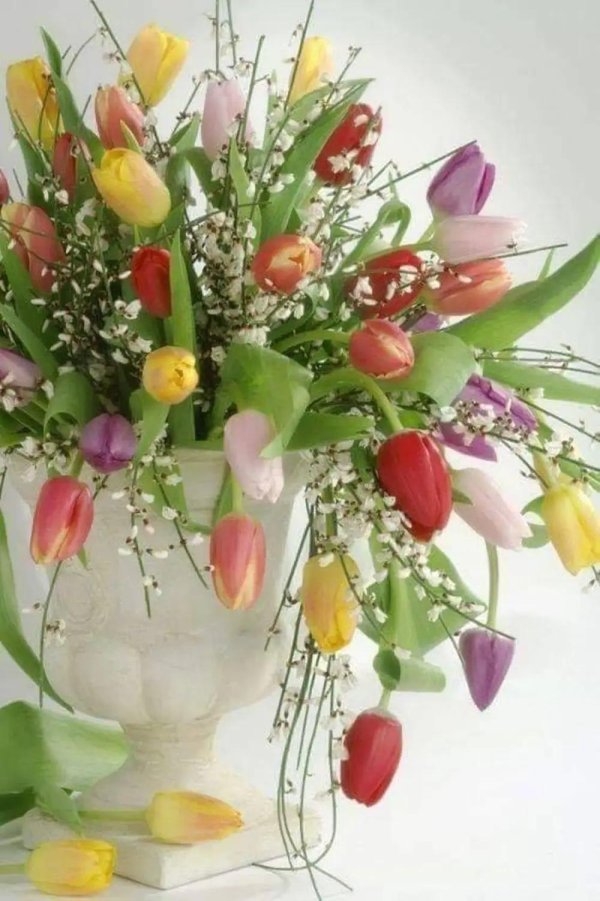 мелкоцветные тюльпаны