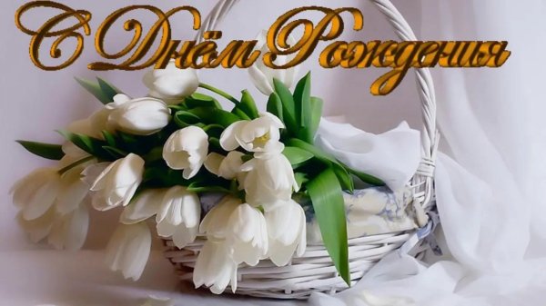 открытки с днем рождения белые тюльпаны