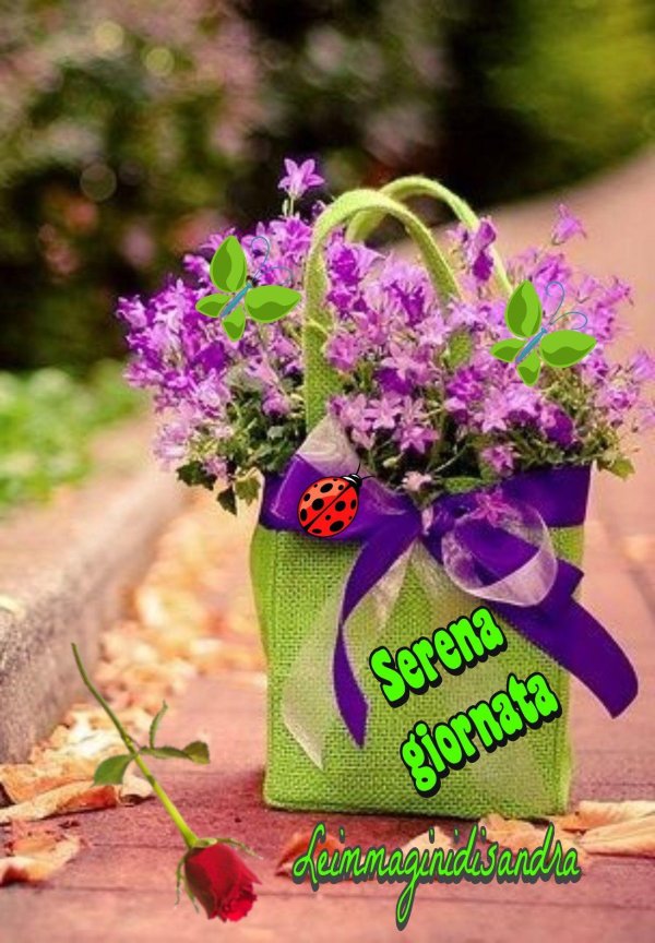 добрые чудесности