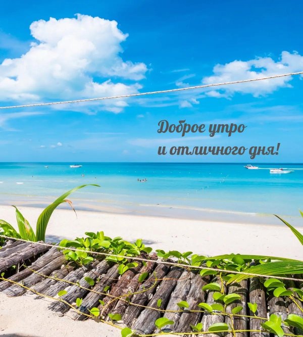 доброе утро доброе утро