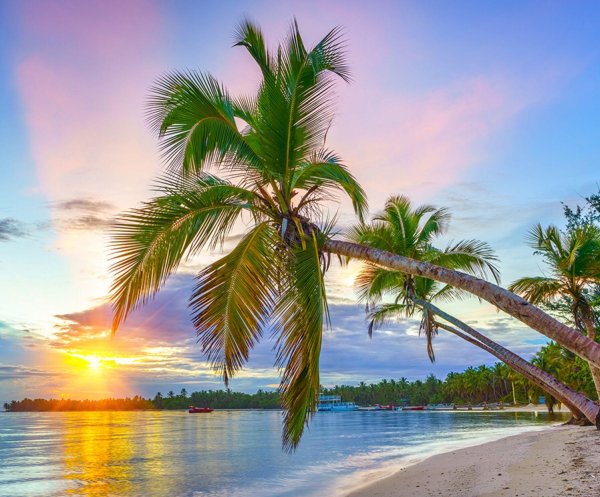 тропические пляжи