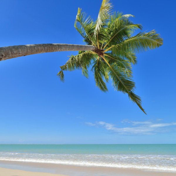 пляж с пальмами