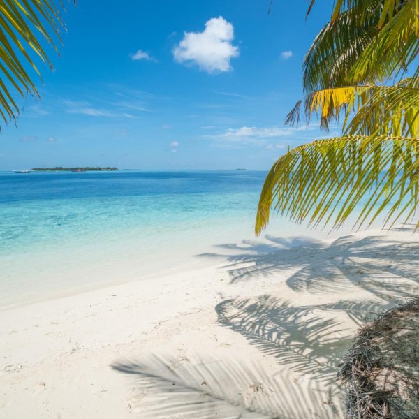 лагуна тропики