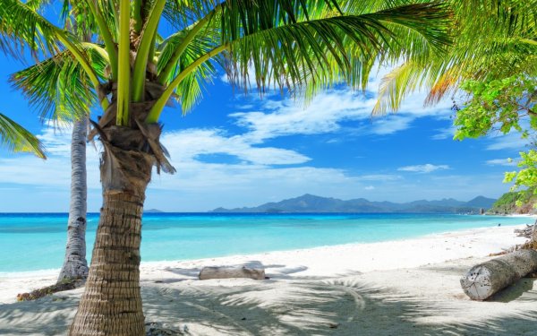 парадиз остров карибского моря