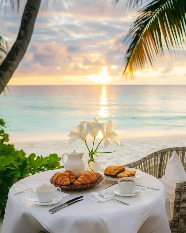 завтрак в тропиках