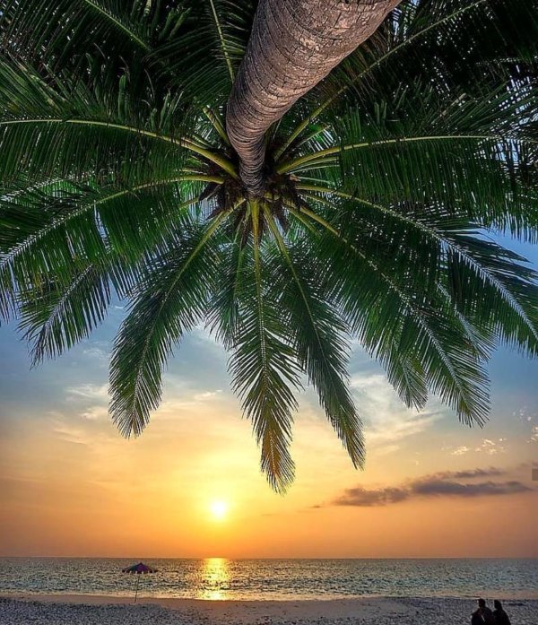 красивое море