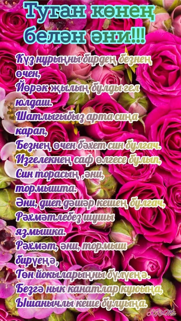 энием туган понен брлжн