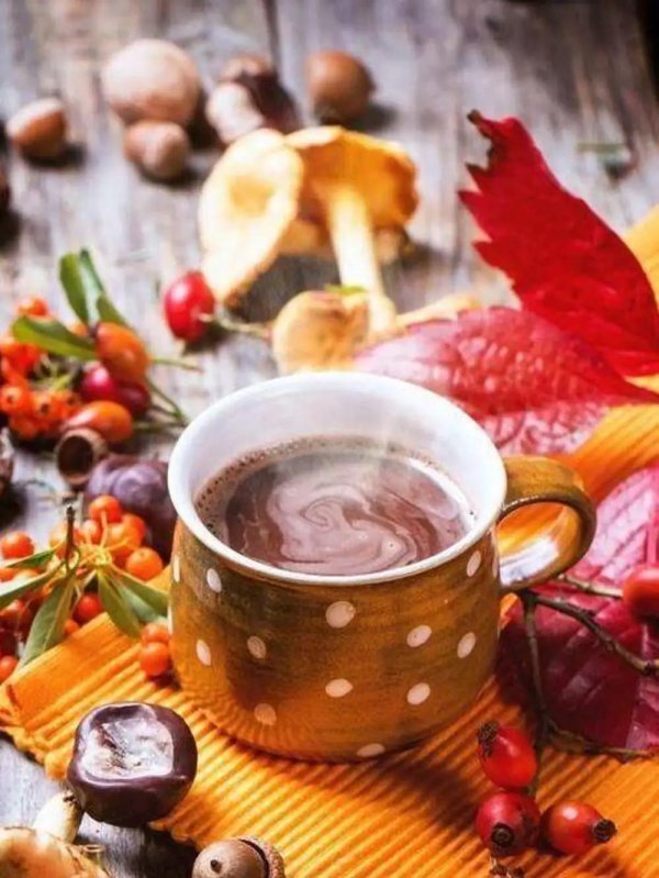 осеннее чаепитие