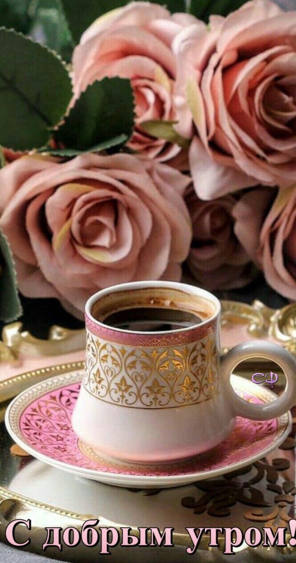 доброго ранку