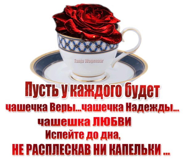 пусть у каждого будет чашечка веры