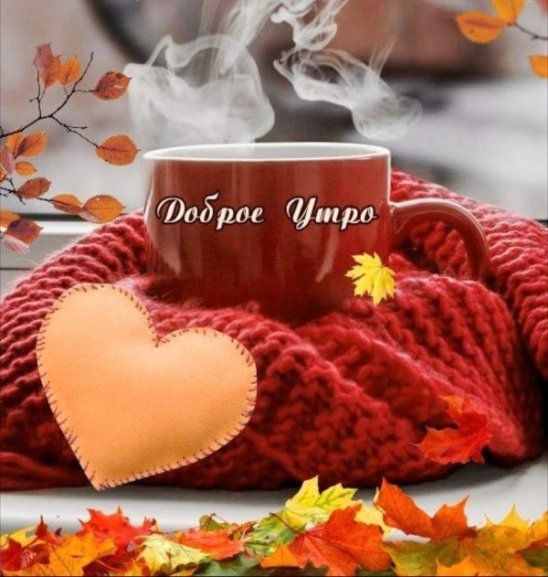осеннего утра доброго