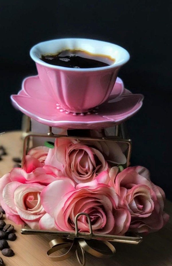 вечера доброго