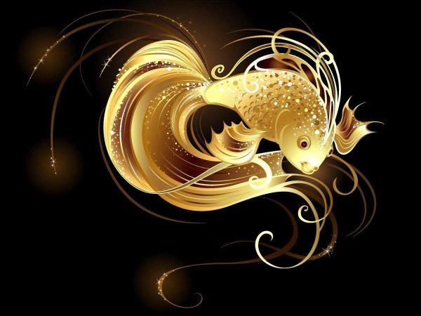 рыба золотая