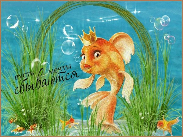 рыбка золотая