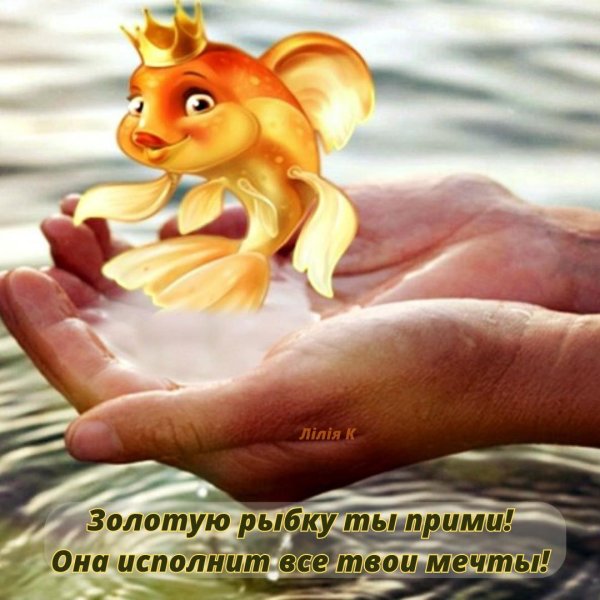 золотая рыбка