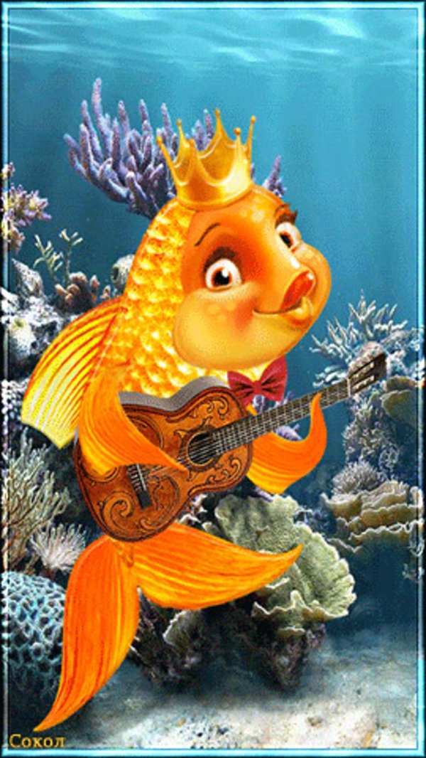 рыбка золотая