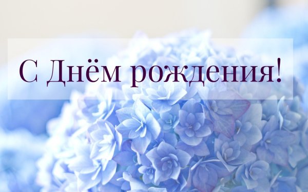 открытки с днём рождения женщине красивые