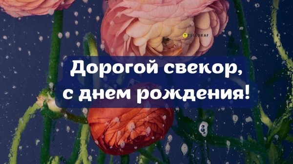 с днем рождения для свекра