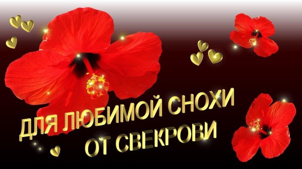 любимой снохе с днем рождения от свекрови