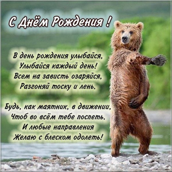 медведь танцует