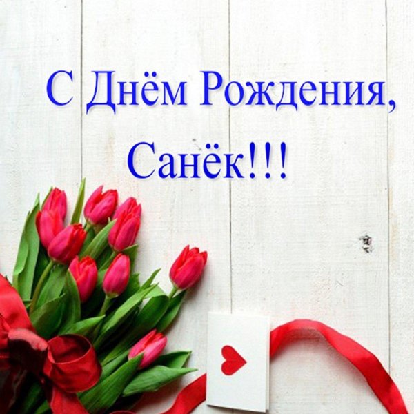 красные тюльпаны