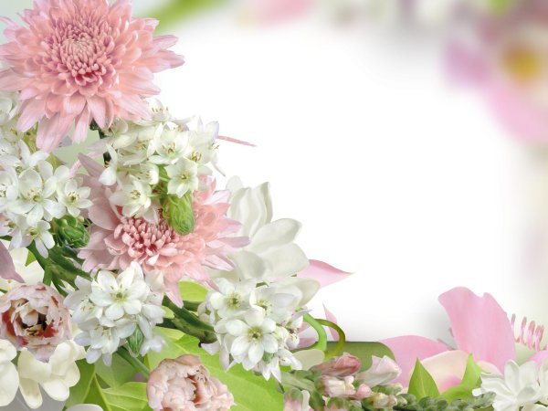 цветочная рамка