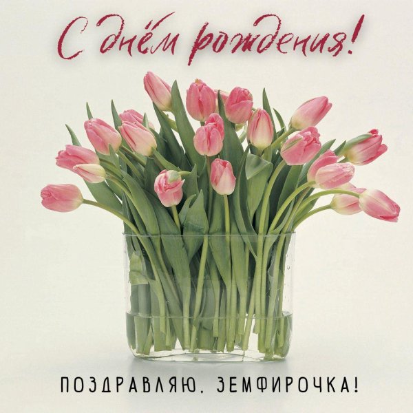 открытка с тюльпанами
