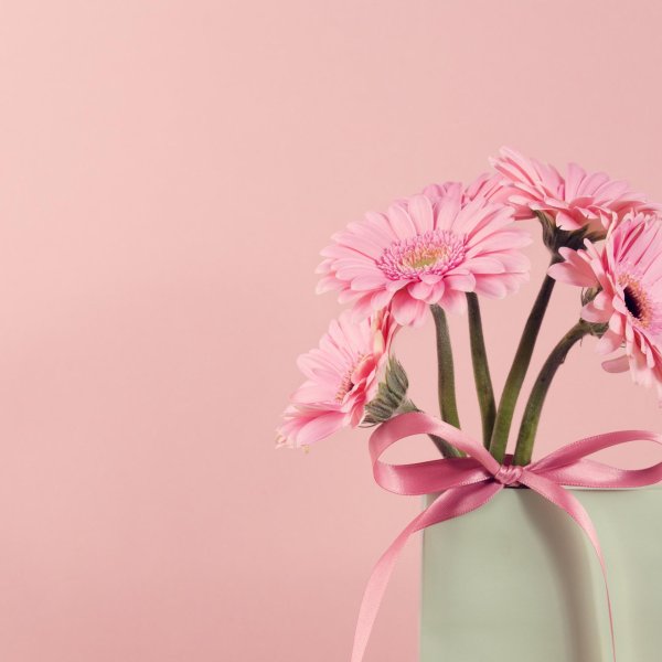 гербера мариатта