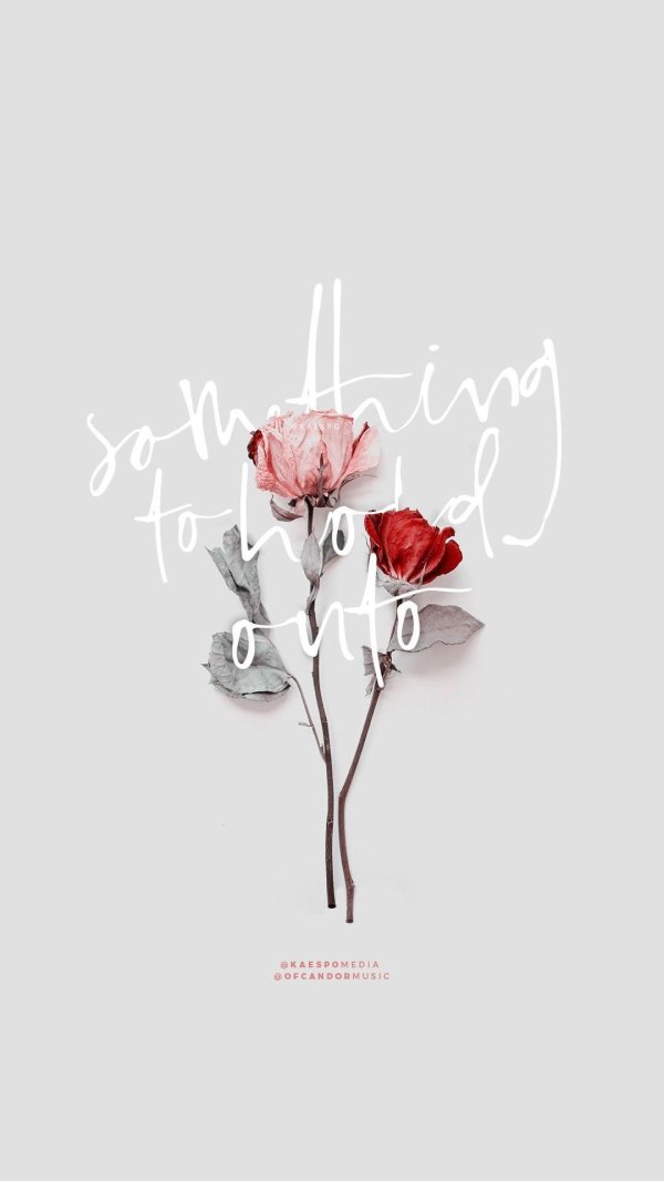 минимализм цветы