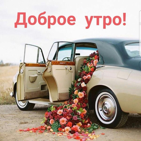 доброе утро транспорт