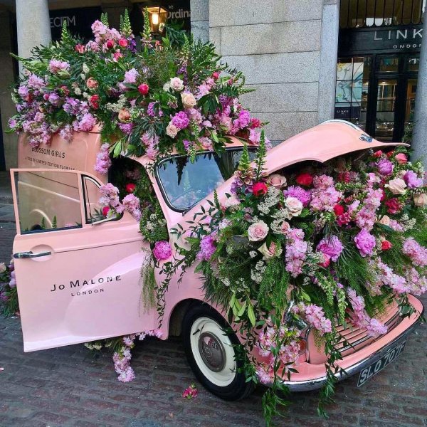 машина и цветы