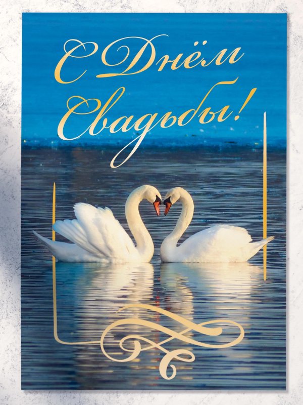 свадебная открытка