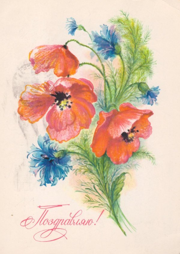 советские открытки цветы