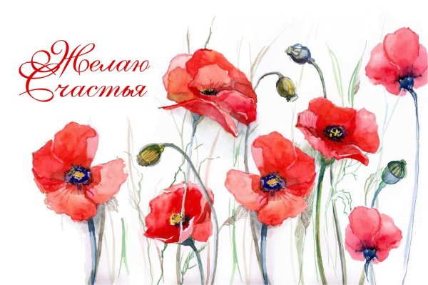 мак акварель