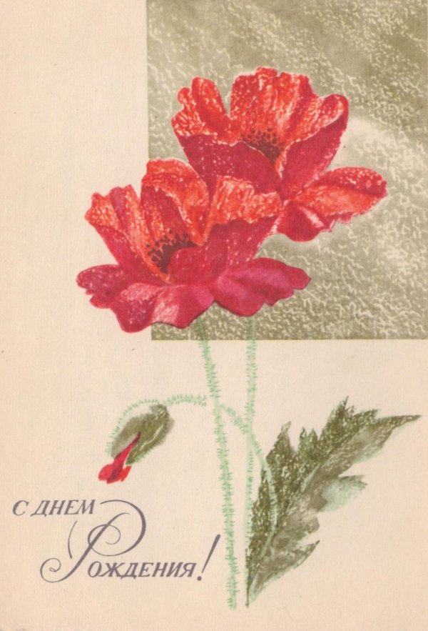 советские открытки цветы