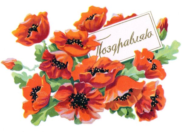 открытка маки