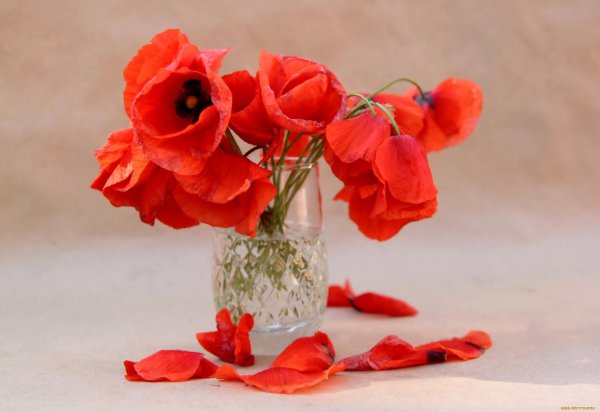 маковый букет