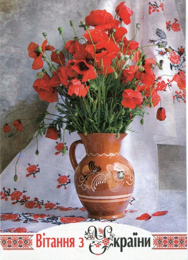 цветы в кувшине