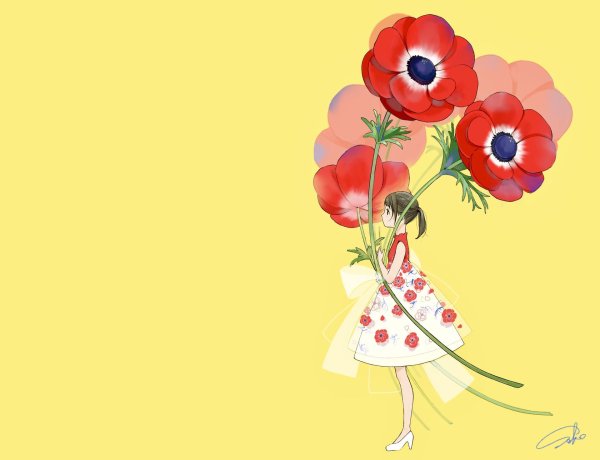 анемона hollandia