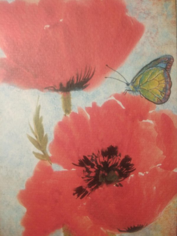 мак акварель