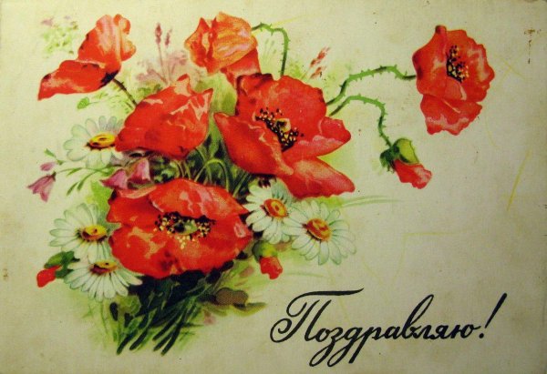 советские открытки цветы