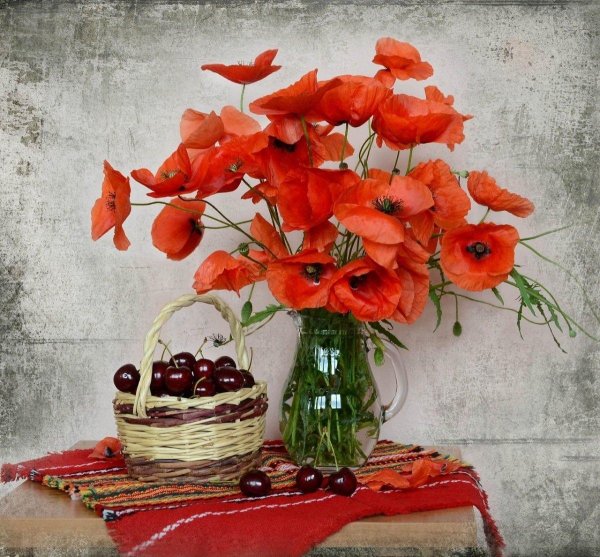 цветочные натюрморты натальи панга