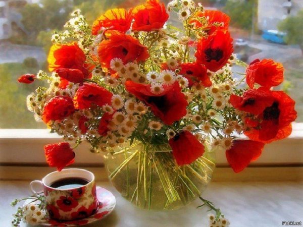 букет маков